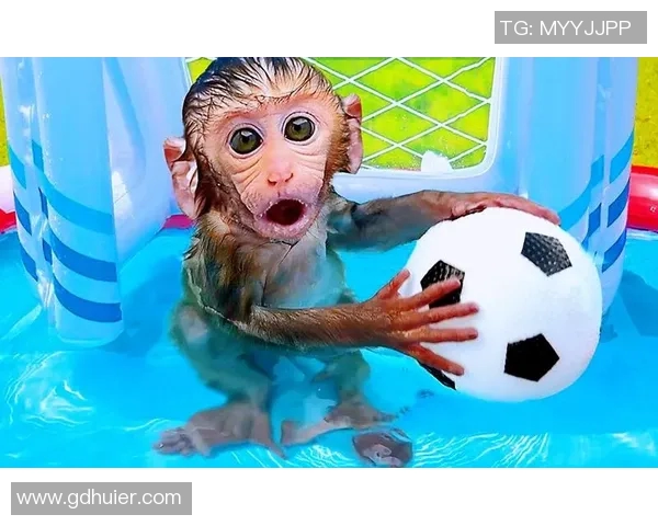 热爱宠物的足球明星盘点他们与爱宠的温馨瞬间